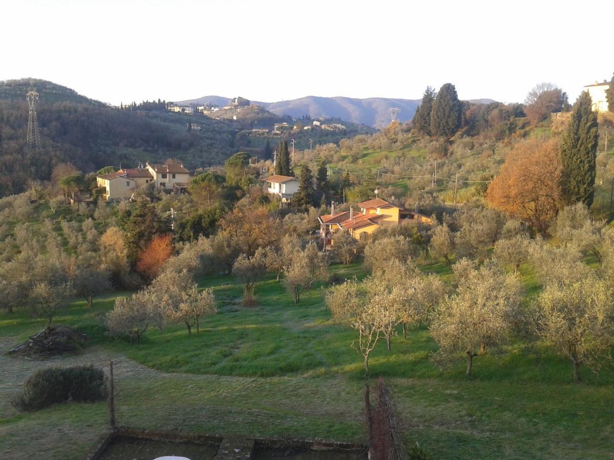 Podere Sanlorenzo Carmignano Eksteriør bilde