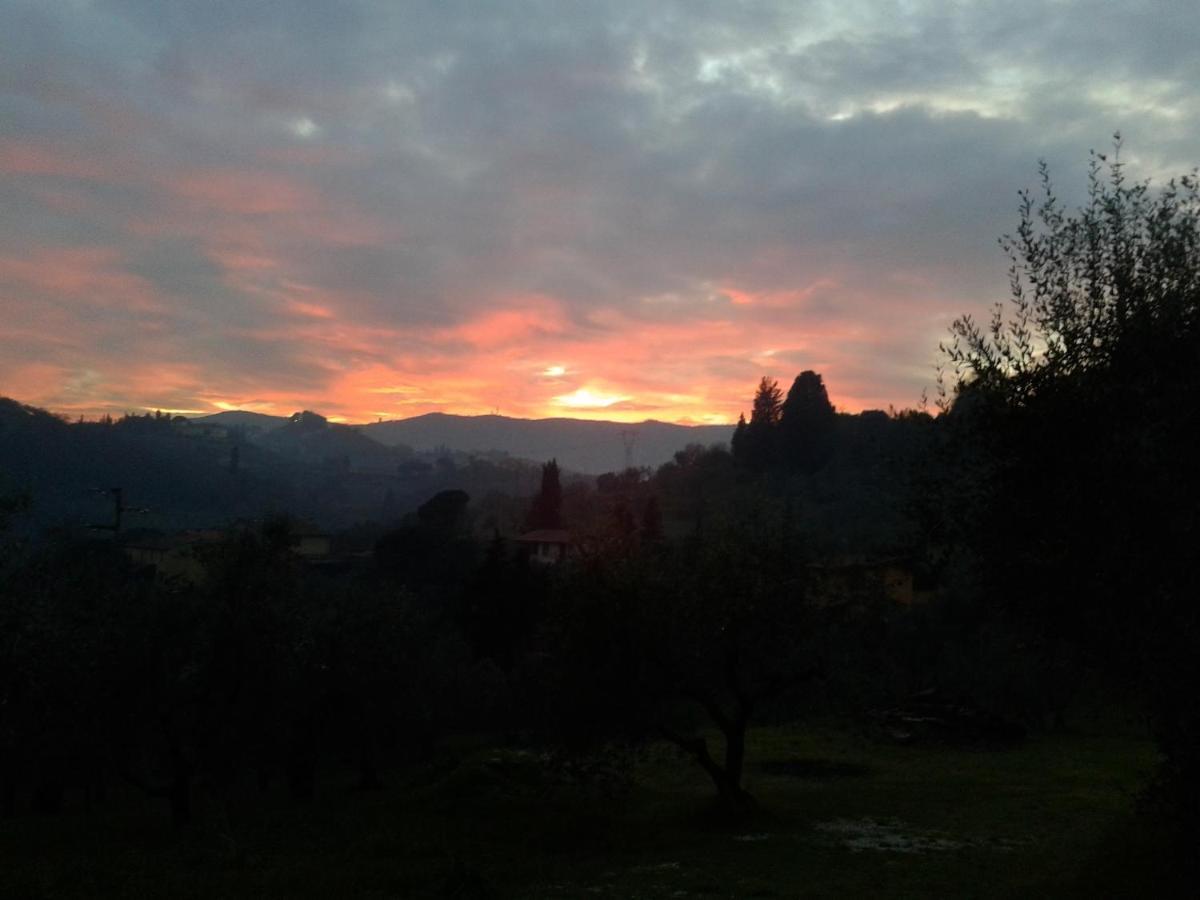 Podere Sanlorenzo Carmignano Eksteriør bilde